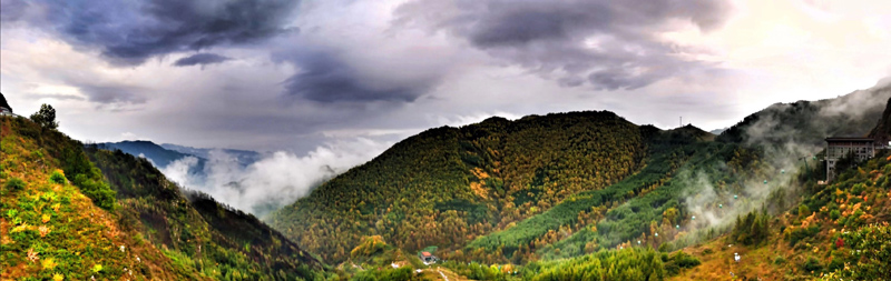 竞博体育app官网