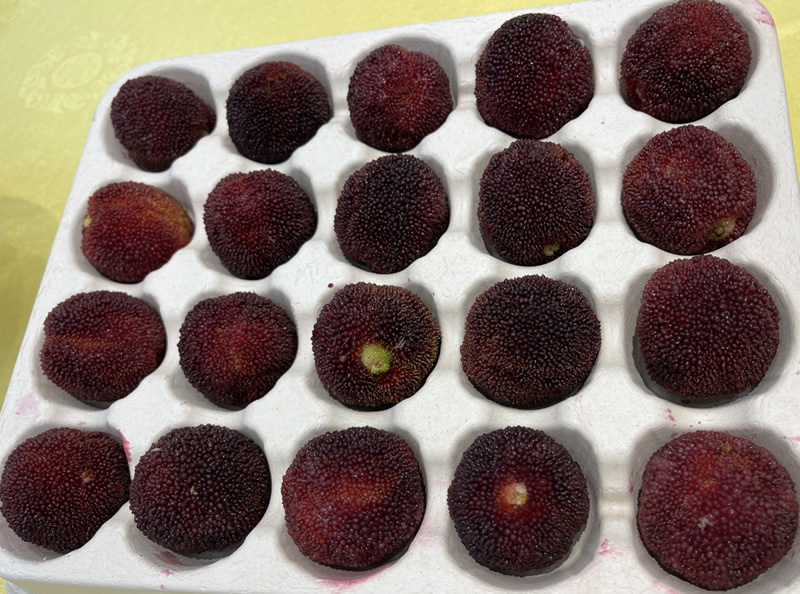 竞博体育app官网