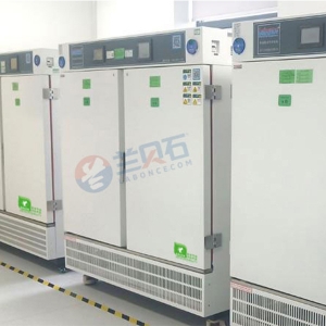 两箱独立药品稳定性试验箱，多箱综合药品稳定性试验箱