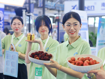 出海之门云帆初张，木灵之舟乘风破浪。